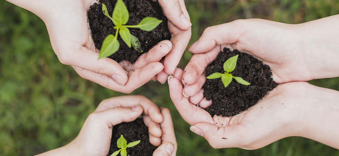 PME, tout savoir sur le mécénat _6634c027b4ba0.jpeg